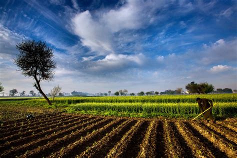  Zameen: Exploring Pakistani Agricultural Landscapes through Time and Tradition: A Symphony of Earth Tones and Rural Wisdom